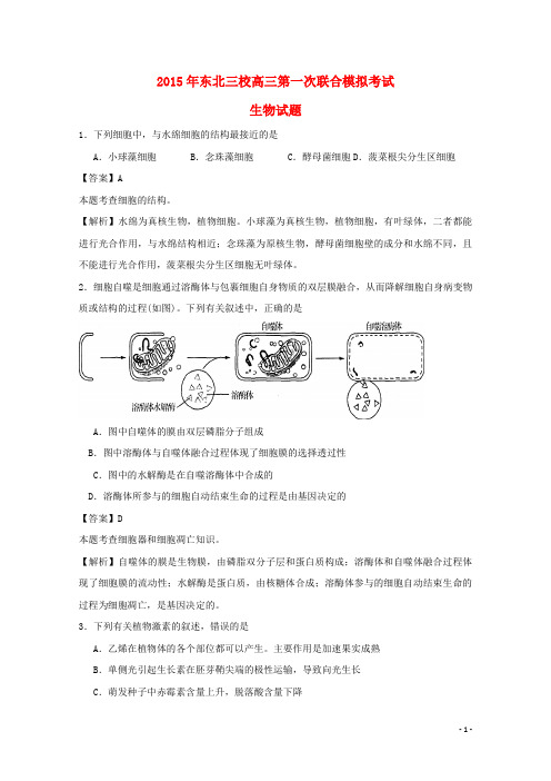 东北三校高三生物第一次联合模拟考试(含解析)
