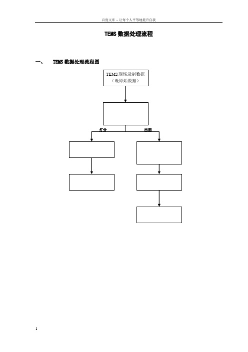 TEMS数据处理流程7