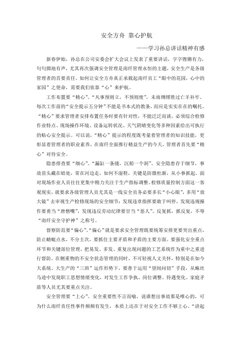 安全方舟 靠心护航(石大伟)