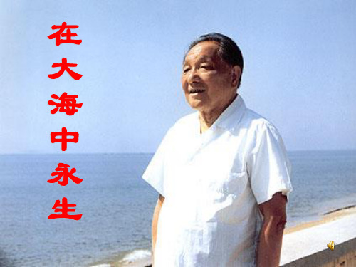 五年级上册语文课件-13 在大海中永生｜苏教版 (共18张PPT)