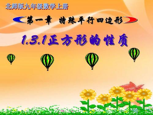 1.3正方形的性质与判定(1)