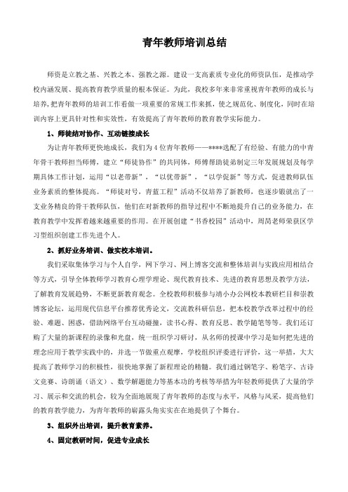 青年教师培训总结