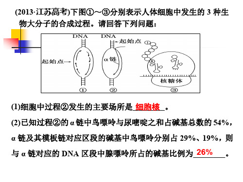 必修2第二单元第4讲 巧用图解,突破DNA复制与细胞分裂中染色体标记问题