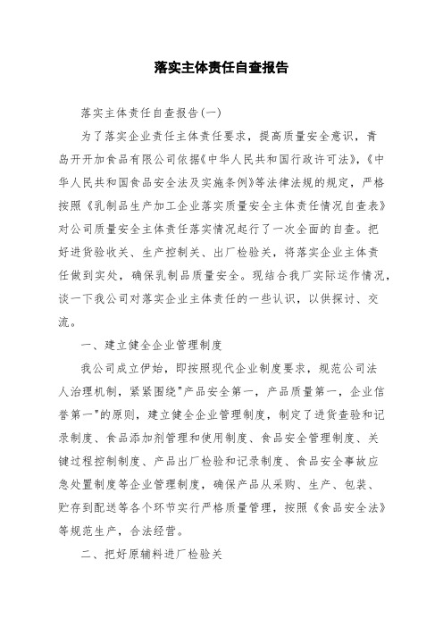 落实主体责任自查报告