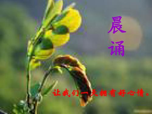 晨颂