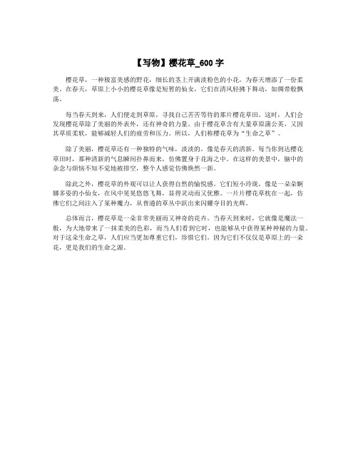 【写物】樱花草_600字