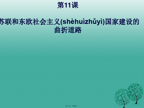 九年级历史下册第11课苏联和东欧社会主义国家建设的曲折道路课件中华书局版