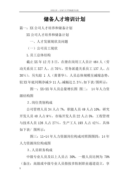 储备人才培训计划