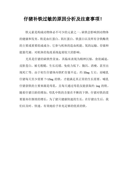 仔猪补铁过敏原因分析及注意事项