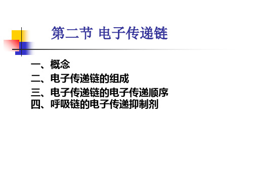 电子传递链