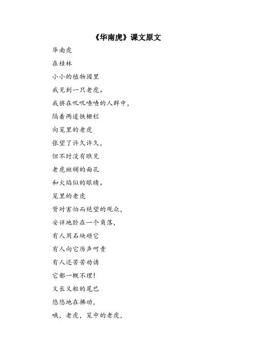 《华南虎》课文原文