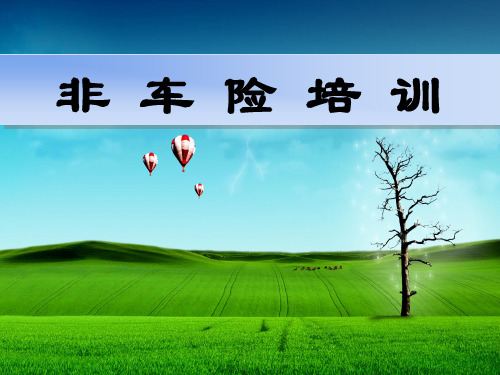 非车险宣导课件