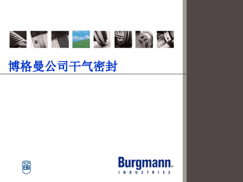 博格曼公司干气密封