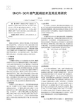 SNCR-SCR烟气脱硝技术及其应用研究
