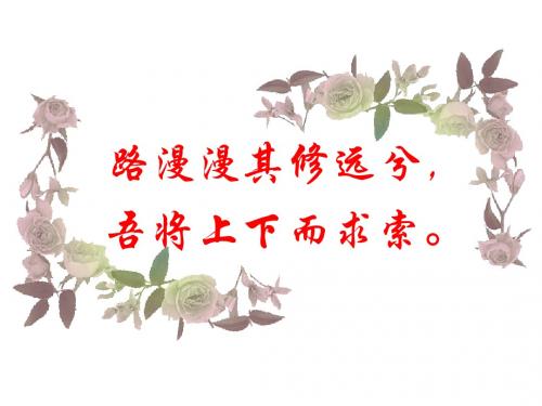 语文：2.7《雷电颂》课件2(人教版八年级下)