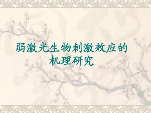 弱激光生物刺激效应的机理研究