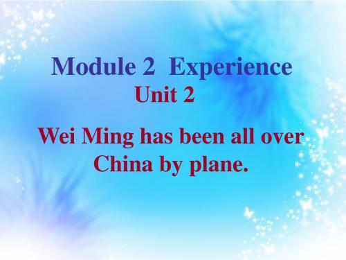 Wei_Ming_has_been_all_over_China_by_plane