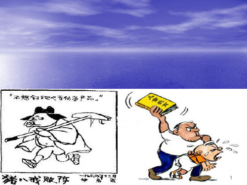 假文盲ppt课件