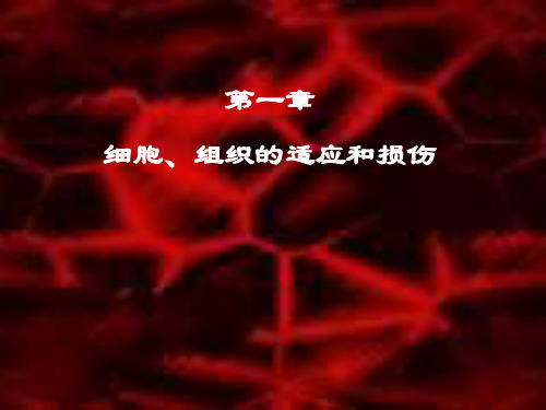 细胞组织损伤、适应与修复PPT演示文稿