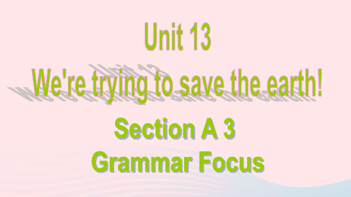 英语九年级全册Unit13SectionAgrammarfocus教学课件 人教新目标版