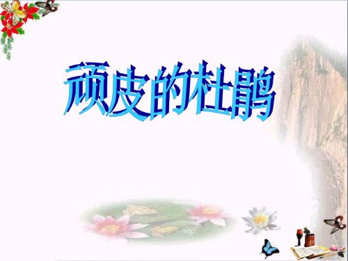 《顽皮的小杜鹃》PPT课件2