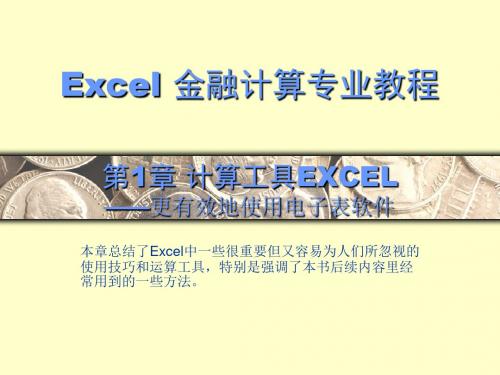 Excel金融计算专业教程(ppt 33页)