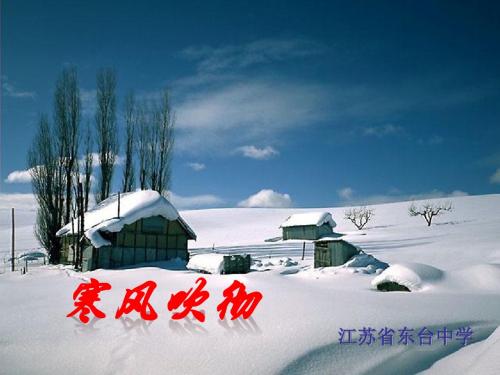 【高中语文】寒风吹彻ppt精品课件8