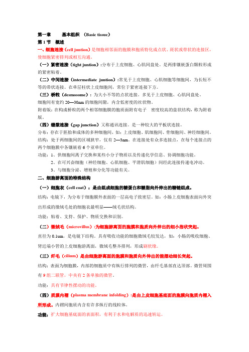 人体组织学与解剖学复习重点(最新版)