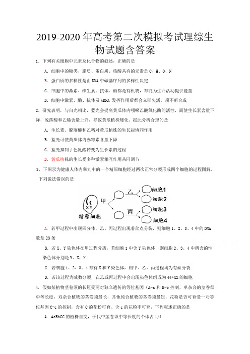 2019-2020年高考第二次模拟考试理综生物试题含答案