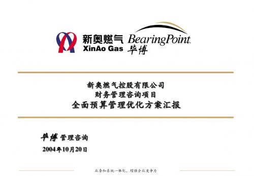 2全面预算管理优化方案汇报
