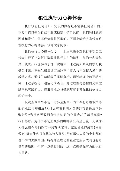 狼性执行力心得体会