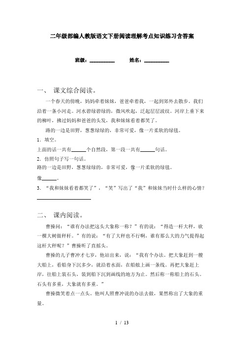 二年级部编人教版语文下册阅读理解考点知识练习含答案