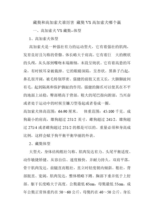 藏獒和高加索犬谁厉害 藏獒VS高加索犬哪个赢