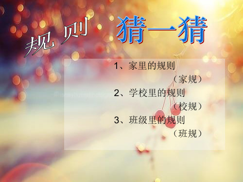 五年级上册品德与社会课件-《心中有“规则”》｜苏教版 (共17张PPT)