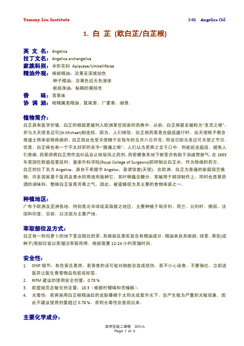 1.白芷(欧白芷白芷根)