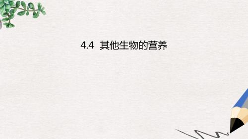 【推荐】精选七年级生物上册4.4其他生物的营养课件北京课改版