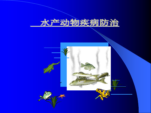 鱼病防治(1)