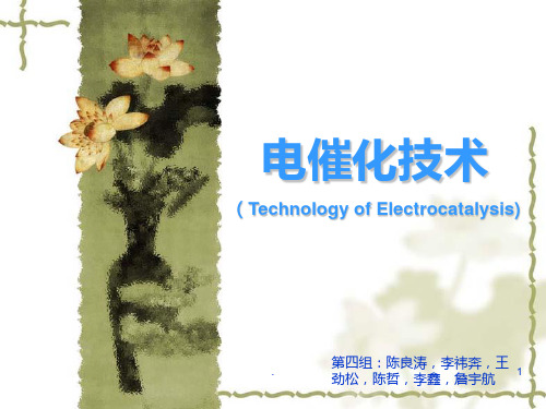 电催化氧化技术PPT课件