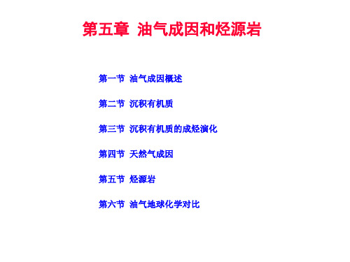 041第四章 油气成因和烃源岩(第一节 油气成因概述)