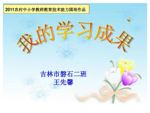 2011农村中小学教师教育技术能力国培作品