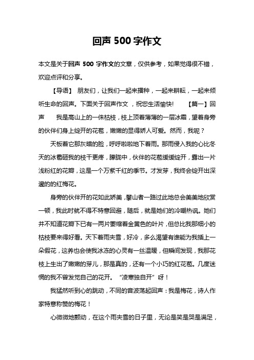 回声500字作文