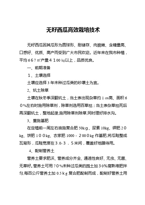 无籽西瓜高效栽培专业技术