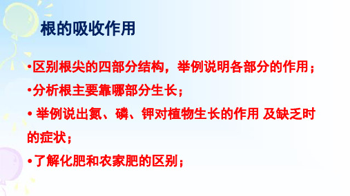 冀少版八年级上册生物第三单元第二章根的吸收作用复习