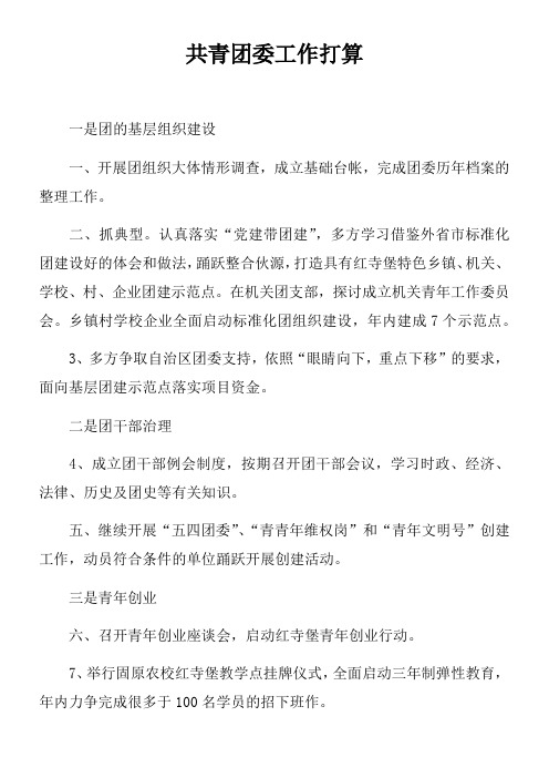 共青团委工作打算doc