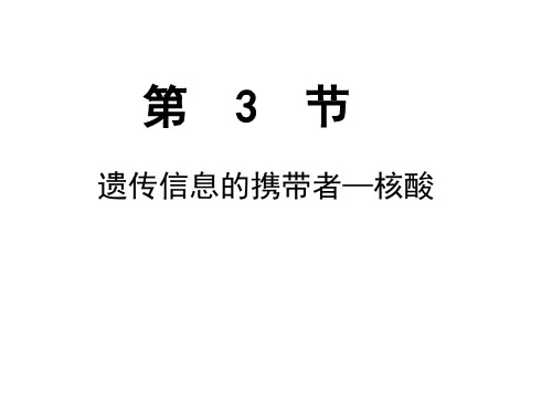 高中生物必修一 2.3核酸