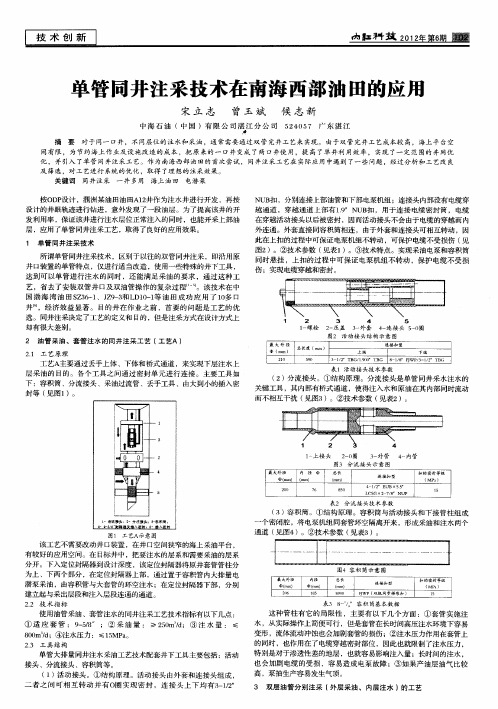 单管同井注采技术在南海西部油田的应用