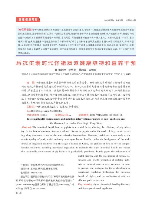 后抗生素时代仔猪肠道健康维持和营养干预