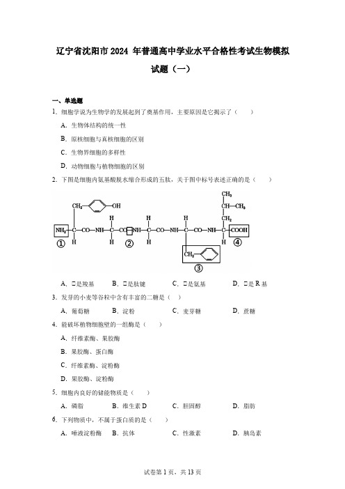 辽宁省沈阳市2024年普通高中学业水平合格性考试生物模拟试题(一)