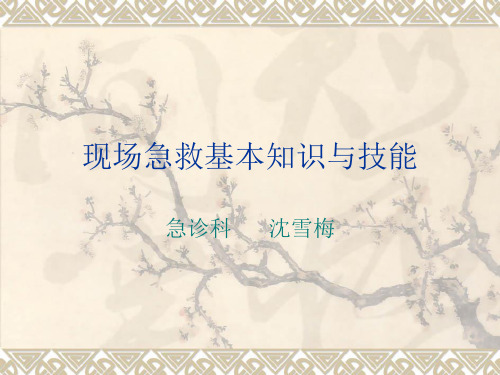 现场急救基本知识与技能