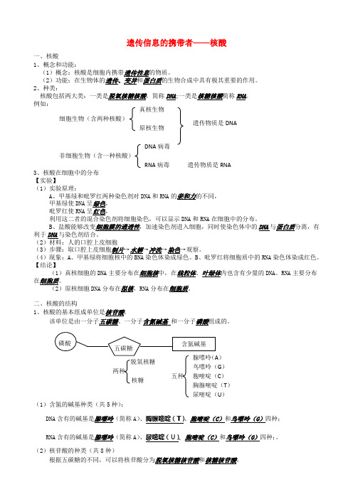 2.3 遗传信息的携带者 —核酸